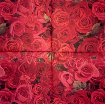 212 Rosen - 3-lagig